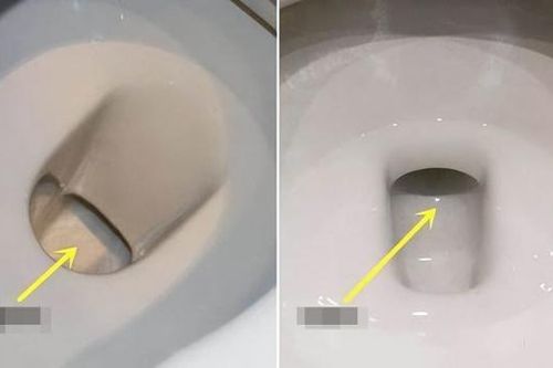 Nên mua bồn cầu xả hay hút, lựa chọn sai lầm ngay từ đầu khi sử dụng rất 'khổ'