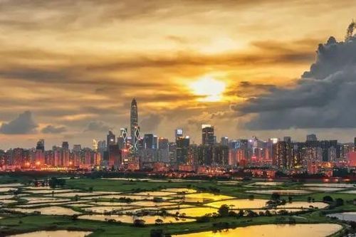 'Thung lũng Silicon' Trung Quốc trở thành nơi quy tụ nhiều triệu phú mới nhất thế giới