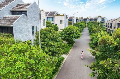 Bất động sản gặp khó, Đạt Phương tìm chỗ dựa