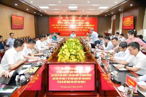 Tiếp tục đôn đốc đẩy nhanh tiến độ xử lý dứt điểm Dự án TISCO 2