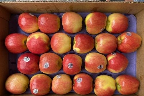 Nhập khẩu hàng hóa: Điểm tên 3 mặt hàng tăng trưởng dương