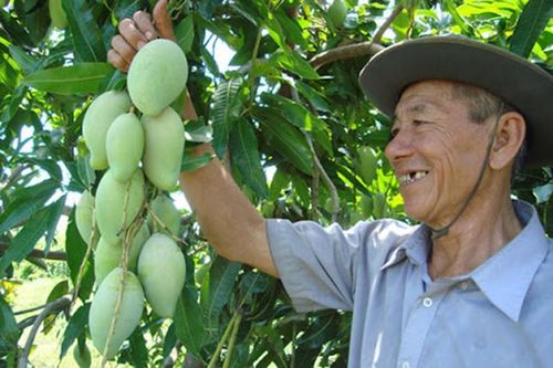 Lẽ hội trái cây Tiền Giang 2024: Nơi hội tụ 'cảm xúc miền nhiệt đới'