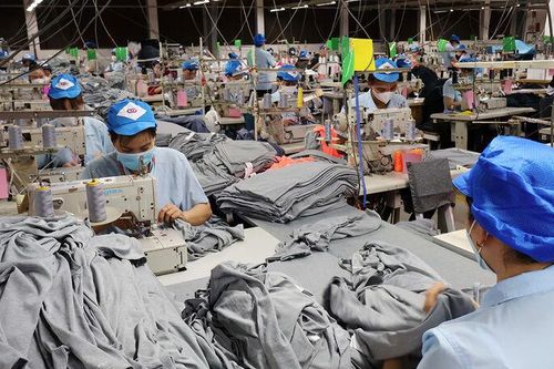 An Giang: Kinh tế khởi sắc, doanh nghiệp phục hồi sản xuất