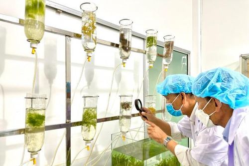 Chào mừng Ngày Khoa học và Công nghệ Việt Nam (18-5) Đưa thương hiệu Việt vươn ra thế giới
