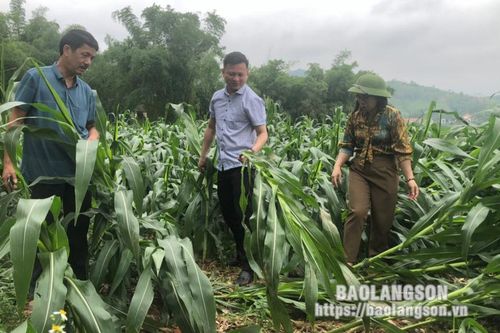 Chủ động ứng phó thiên tai mùa mưa bão