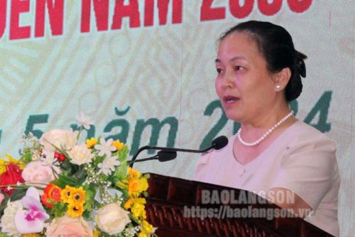 Tiếp tục tích cực triển khai các nội dung liên quan đến nhiệm vụ điều chỉnh địa giới mở rộng thành phố Lạng Sơn