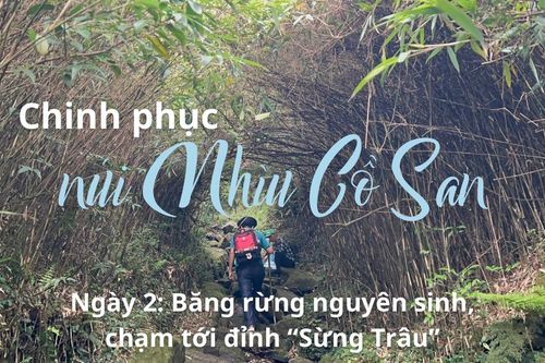 Ngày 2: Băng rừng nguyên sinh, chạm tới đỉnh 'Sừng Trâu'