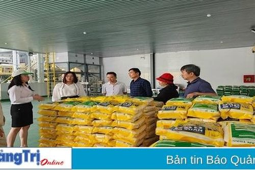 Thúc đẩy ứng dụng khoa học và công nghệ phù hợp với thực tiễn