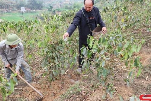 Chiềng Dong xây dựng nông thôn mới