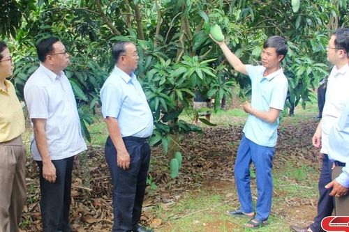 Đoàn đại biểu HĐND các tỉnh nước CHDCND Lào thăm các mô hình nông nghiệp trên địa bàn tỉnh
