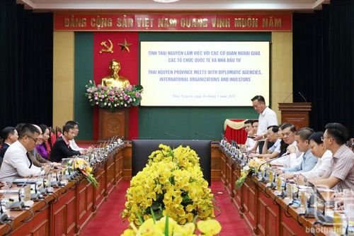 Làm việc với các cơ quan ngoại giao, tổ chức quốc tế và nhà đầu tư nước ngoài