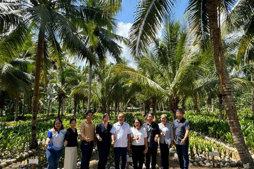 Nhiều sản phẩm dừa Việt Nam có tiềm năng thâm nhập thị trường Philippines