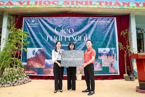 'Gieo những mầm xanh', Caluci trồng cây phủ xanh đồi trọc ở Điện Biên