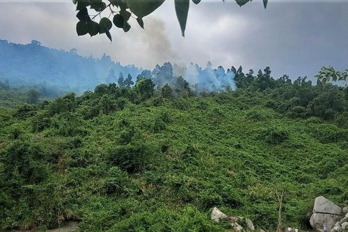 Đà Nẵng: Hàng trăm người tham gia chữa cháy rừng
