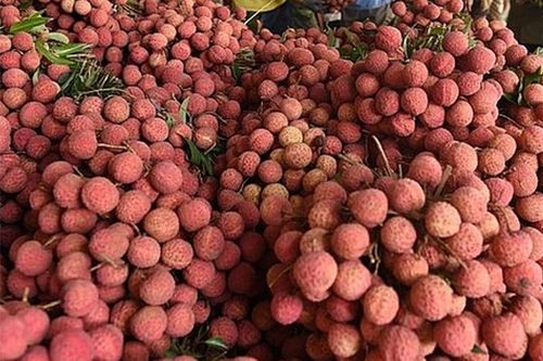 Tỉnh Bắc Giang xúc tiến tiêu thụ vải thiều