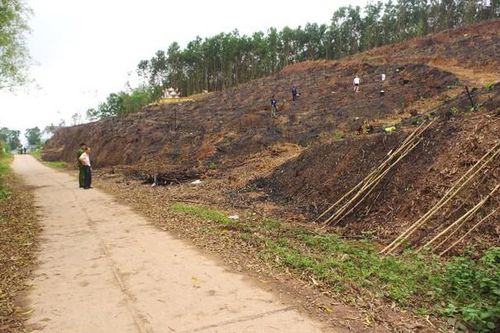 Án mạng đau lòng: Anh họ bị người em đánh tử vong do mâu thuẫn tranh chấp trồng cây