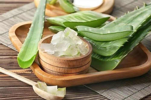 Cách dưỡng da mặt bằng nha đam tươi tại nhà