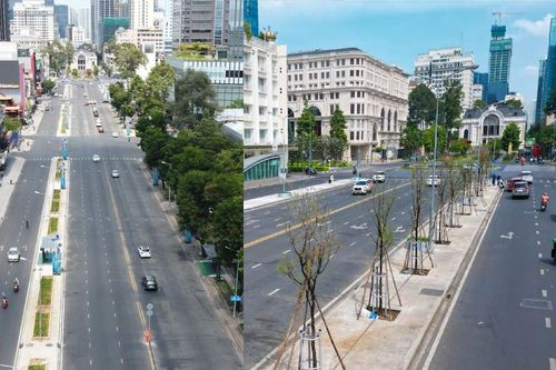 Loay hoay bảo vệ 'lá phổi xanh' đô thị