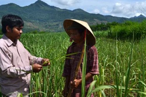 Viên chức khuyến nông có được phụ cấp ưu đãi nghề?