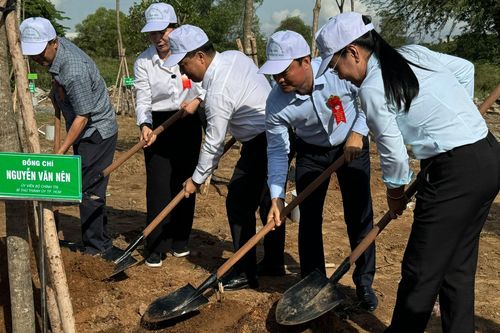 Trồng thêm hơn 2.800 cây xanh tại Thành phố Hồ Chí Minh
