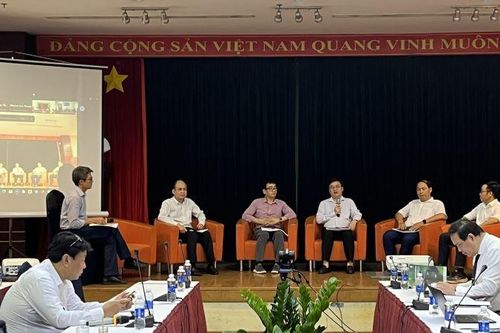 Ngành cao-su Việt Nam chuẩn bị đáp ứng Quy định chống phá rừng châu Âu
