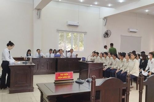 Bình Dương: Xét xử 15 bị cáo mua, bán trẻ sơ sinh