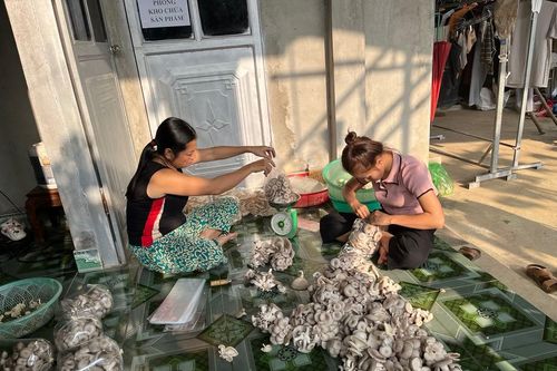 Triển khai đồng bộ các giải pháp giải quyết việc làm góp phần xóa đói giảm nghèo
