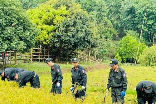 Tuổi trẻ Công an Điện Biên thu hoạch lúa giúp người dân giữa trời nắng nóng