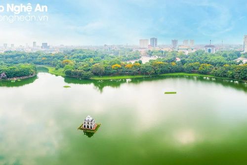 Thành Vinh rực rỡ những sắc hoa