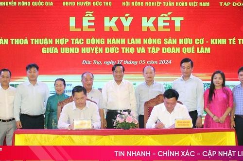 Đức Thọ và Doanh nghiệp Quế Lâm hợp tác sản xuất nông nghiệp hữu cơ