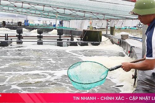 Lĩnh vực nông nghiệp - động lực tăng trưởng tín dụng ngân hàng ở Hà Tĩnh