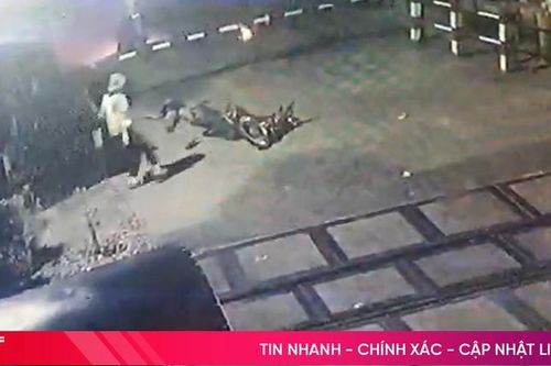 Người đàn ông tử vong sau khi lái xe máy tông gác chắn đường sắt