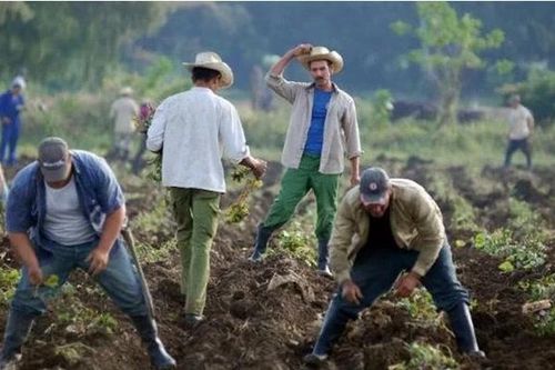 Đối thoại nông nghiệp Cuba-Mỹ đạt nhiều tiến bộ