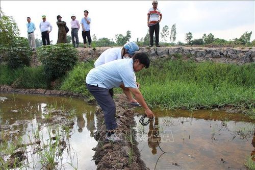 Hậu Giang: Yêu cầu lấy mẫu cát tại nơi xuất hiện nước mặn làm ảnh hưởng lúa của nông dân
