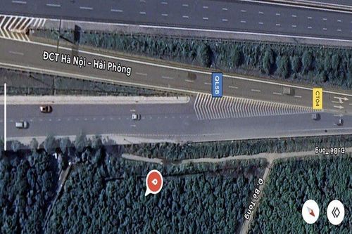 Quy định về vạch xương cá, tài xế cần biết để tránh bị xử phạt