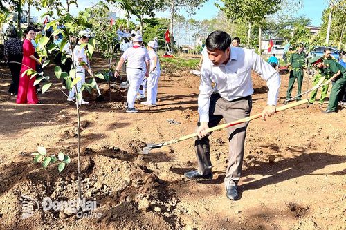 Khắp nơi trong tỉnh ngày 17-5-2024