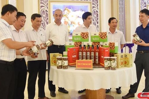 Khoa học và công nghệ đồng hành cùng sự phát triển của tỉnh
