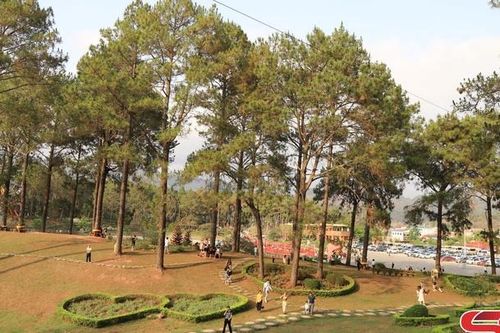Hành trình trở thành Khu du lịch quốc gia Mộc Châu