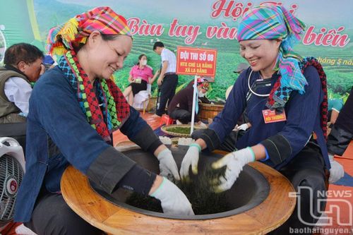 Hợp tác xã chè La Bằng đoạt giải Nhất Hội thi 'Bàn tay vàng chế biến chè'