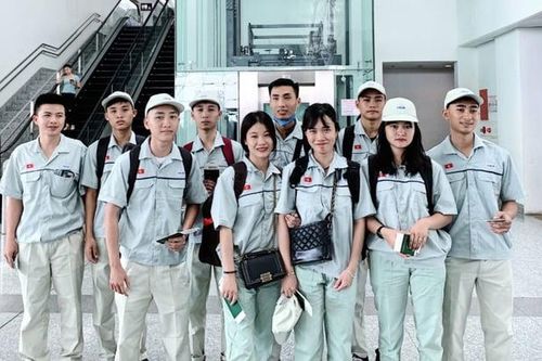 Hơn 48.000 người Việt đi xuất khẩu lao động trong 4 tháng