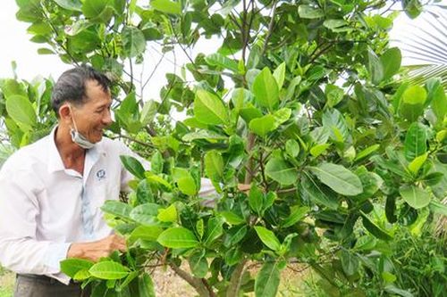 Chuyện khởi nghiệp của những 'tỷ phú chân đất' ở Phú Yên