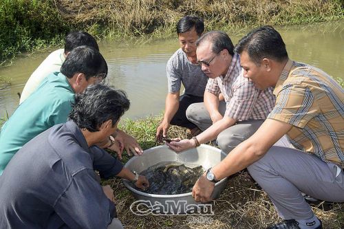 Bừng sáng xứ rừng