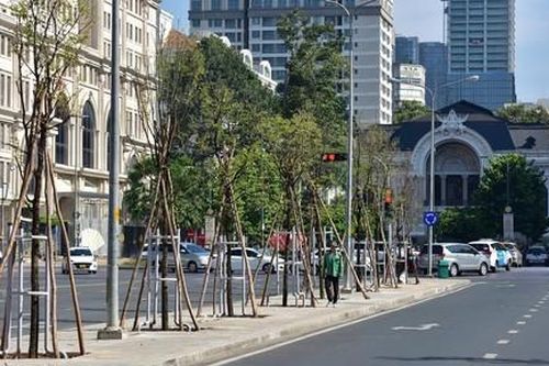 TPHCM sẽ tiến hành rà soát các vỉa hè còn trống để trồng bổ sung cây xanh