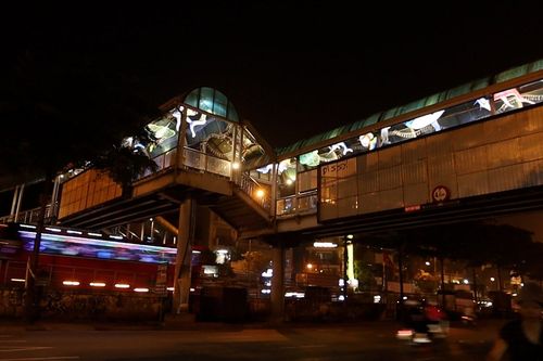 Biến cầu đi bộ xuống cấp thành 'thủy cung' treo giữa phố Hà Nội