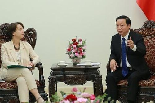 Việt Nam và AFD tăng cường hợp tác, thúc đẩy chuyển đổi năng lượng