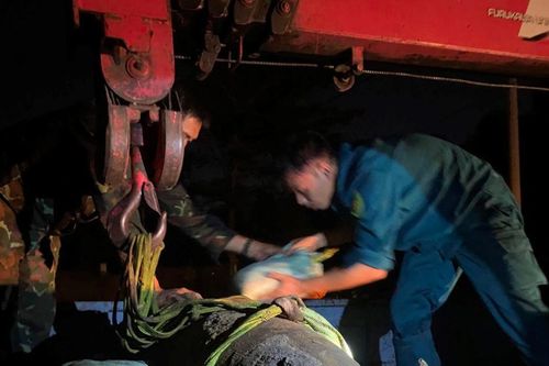 TP HCM xử lý an toàn quả bom nặng 350 kg còn sót lại sau chiến tranh