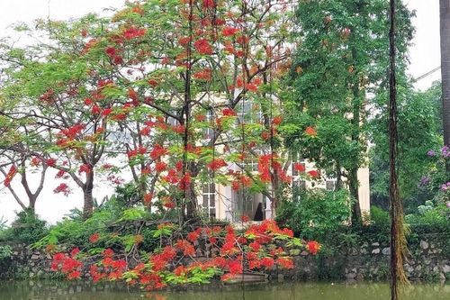 Xã Trường Yên – nơi lưu giữ ký ức