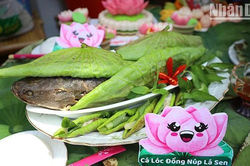 Đặc sắc ẩm thực chế biến các món ăn từ sen