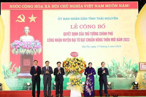 Công bố huyện Đại Từ đạt chuẩn nông thôn mới