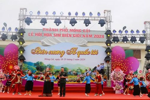 Sôi động lễ hội hoa sim biên giới Móng Cái năm 2024